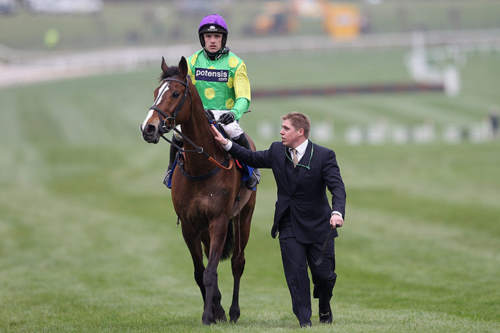 Kauto Star retrospective: Cheltenham 2012