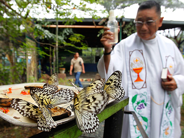 24 hours: Malabon, Philippines: A Catholic priest blesses butterflies