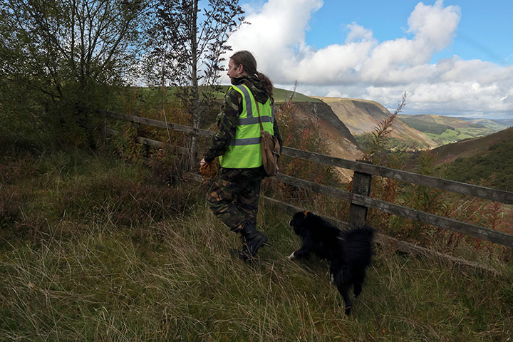 Hunting for April Jones: A volunteer searches with his dog