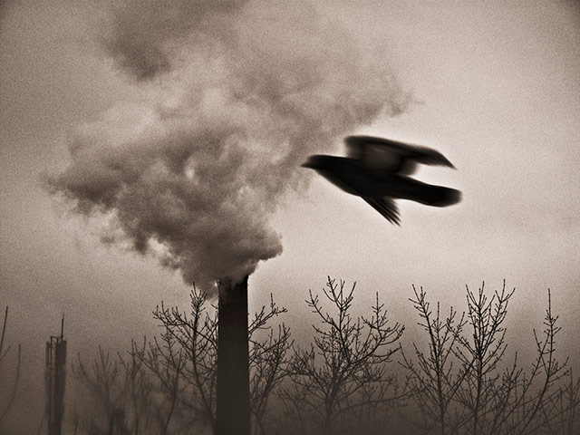 Youth Photography contest: Children's Eyes on Earth 2012