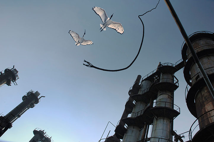 Youth Photography contest: Children's Eyes on Earth 2012