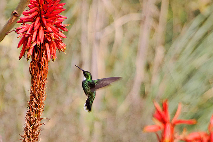 Youth Photography contest: Children's Eyes on Earth 2012