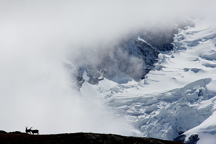 Youth Photography contest: Children's Eyes on Earth 2012