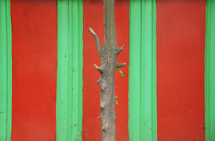 Youth Photography contest: Children's Eyes on Earth 2012