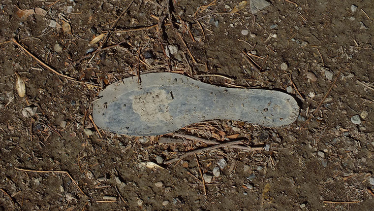 Youth Photography contest: Children's Eyes on Earth 2012