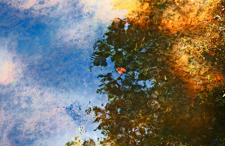 Youth Photography contest: Children's Eyes on Earth 2012