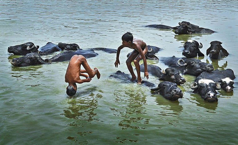 Youth Photography contest: Children's Eyes on Earth 2012