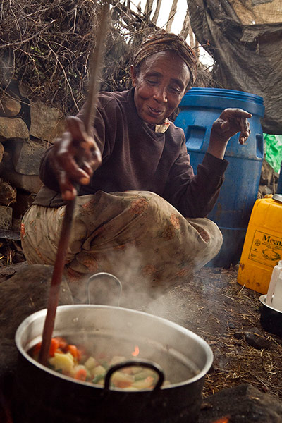 Seed Freedom Fortnight: Gaia Foundation