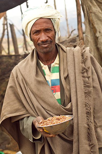 Seed Freedom Fortnight: Gaia Foundation