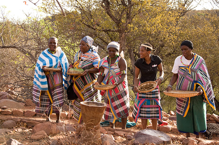 Seed Freedom Fortnight: Gaia Foundation