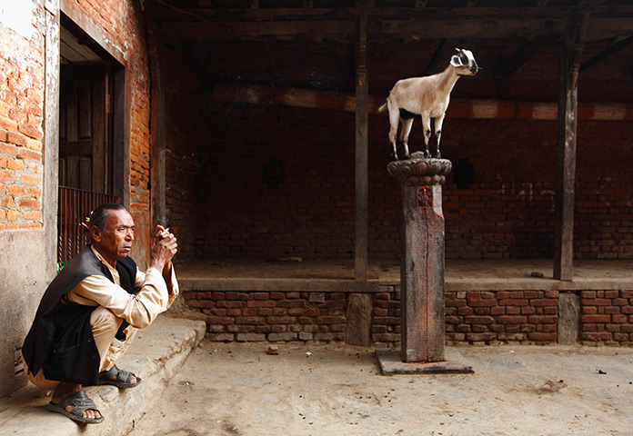 24 hours in pictures: A man smokes a cigarette near a goat standing on a column
