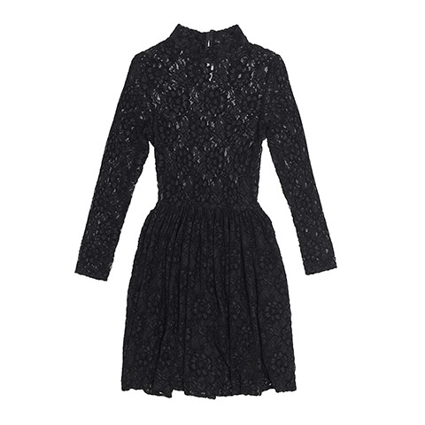 Go for goth: Zara black lace high neck skater dress