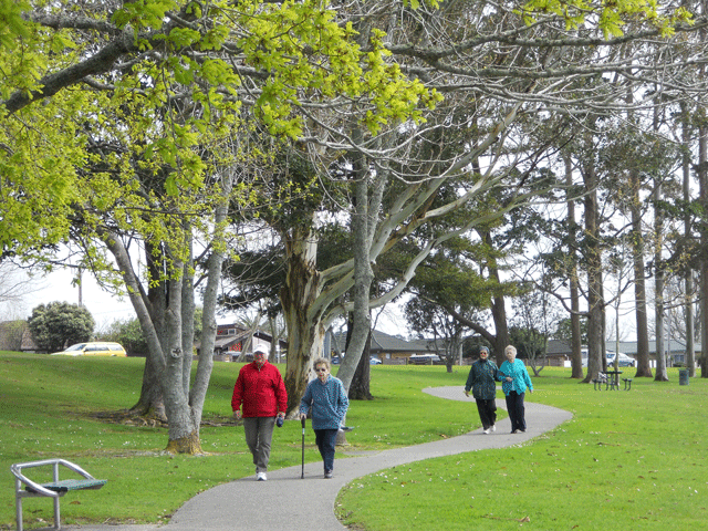 Bupa - NZ walk