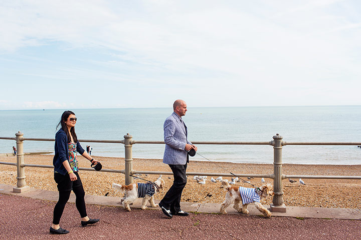 Selby: Philip Oakley: Walking the dogs along the promenade