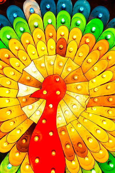 Selby: Philip Oakley: A 1980s Blackpool peacock illumination