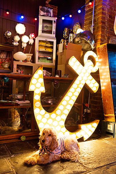 Selby: Philip Oakley: Anchor