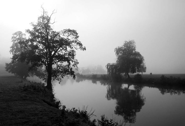 Green Shoots: Flickr