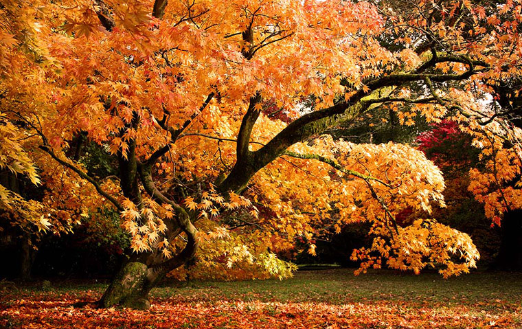 Green Shoots: Flickr