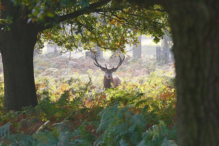 Green Shoots: Flickr