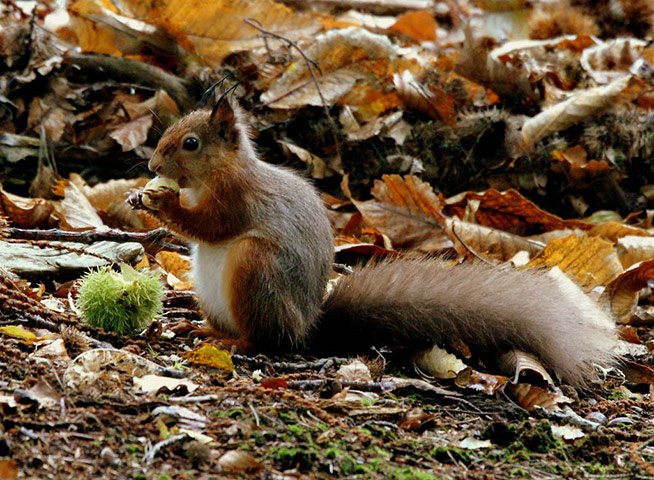 Green Shoots: Flickr