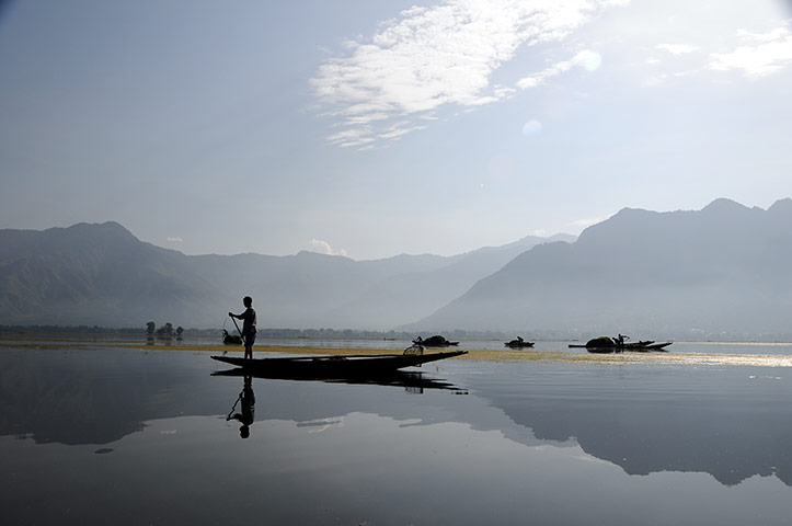 Kasmir:  Gathering weeds to make a floating garden on Dal Lake, Kasmir