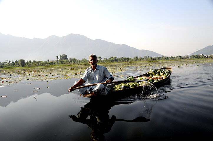 Kasmir: Dal Lake, Kashmir