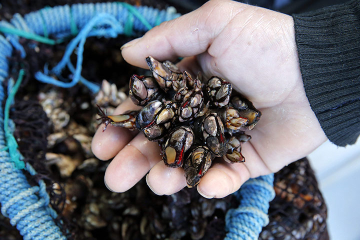 24 hours in pictures: Prestige disaster 10th anniversary