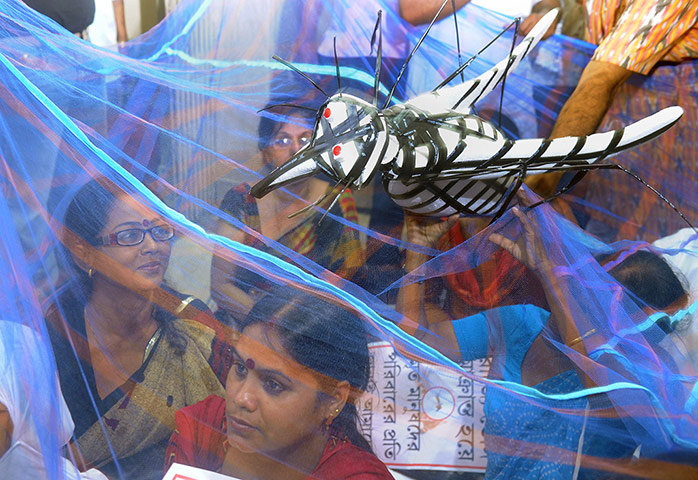 Dengue epidemic: INDIA-HEALTH-DENGUE