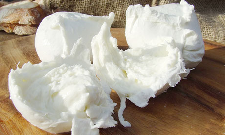Professionally made buffalo mozzarella