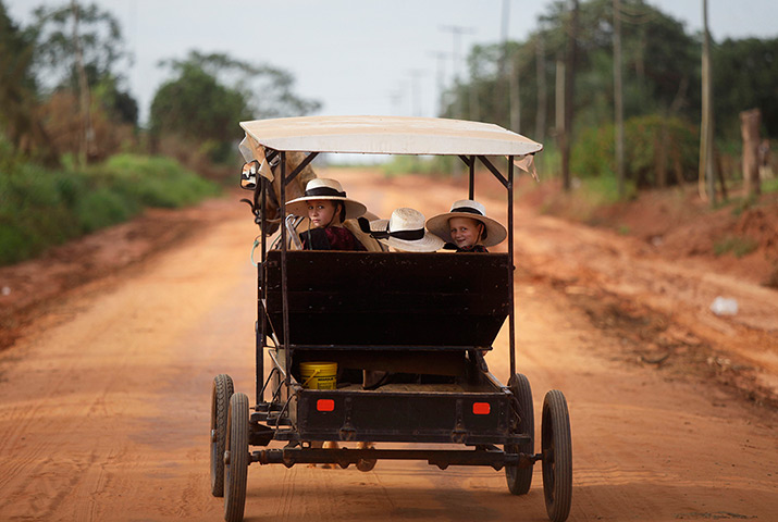 24 hours in pictures: Mennonite girls look back as they ride in a horse drawn cart 