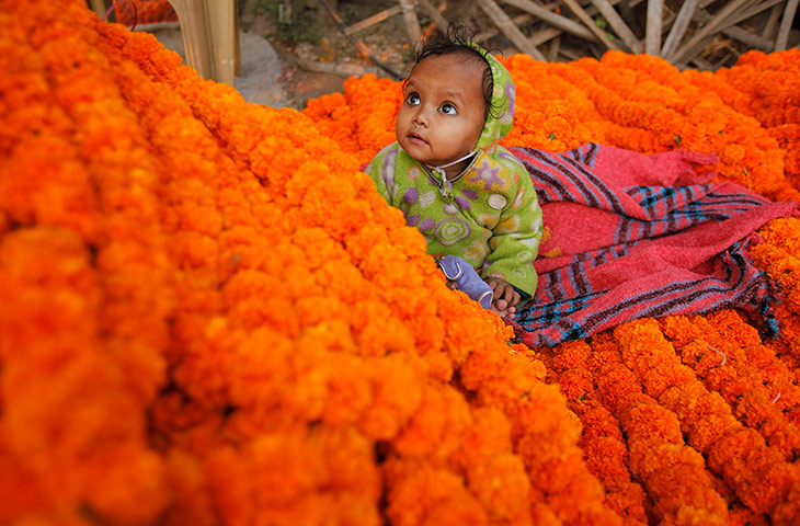 Diwali: The child of a roadside flower vendor plays on a bed of marigolds