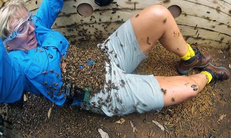 Nadine Dorries I'm A Celebrity … Get Me Out Of Here!