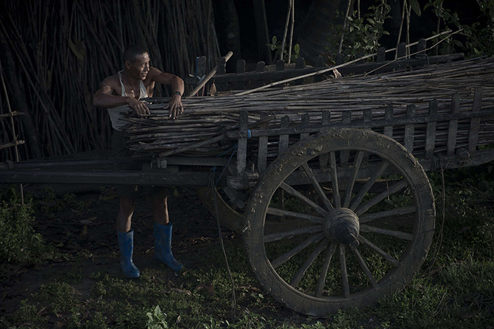24 hours in pictures: A farmer loading a chariot on the outskirts on Bago