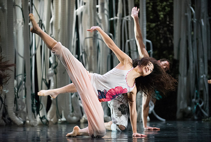 Week on stage: Aoi Nakamura in Freedom by Jasmin Vardimon Company at Sadler's Wells