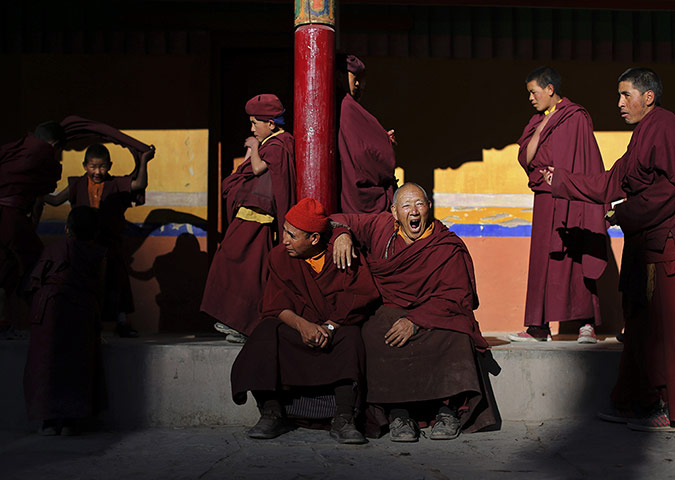 24 hours: A Buddhist monk of the Drukpa Tibetan Buddhist lineage yawns