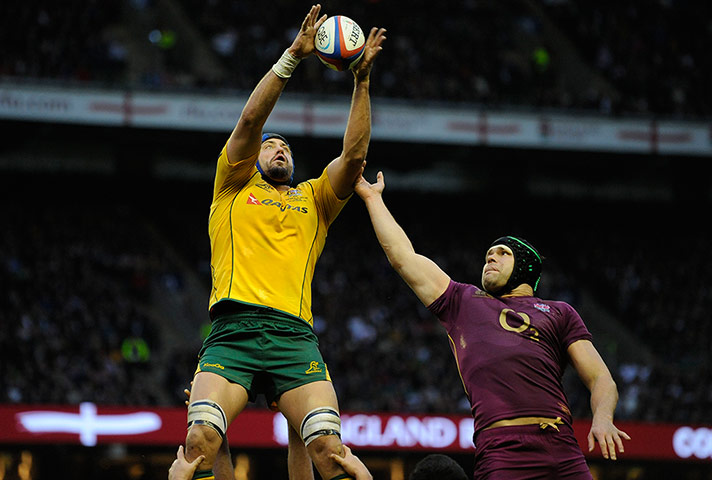eng v australia: Australian captain Nathan Sharpe lclaims a line-out 