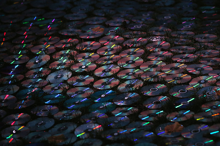 24 hours in pictures: Art installation by Bruce Munro entitled 'Blue Moon on a Platter'