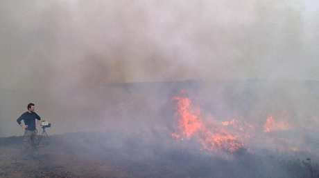Scientist examines a wildfire