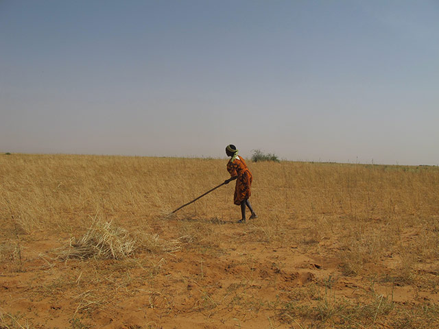 Kids for Kids:: A portrait of Darfur in 2012