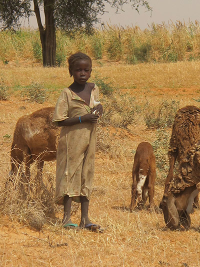 Kids for Kids:: A portrait of Darfur in 2012