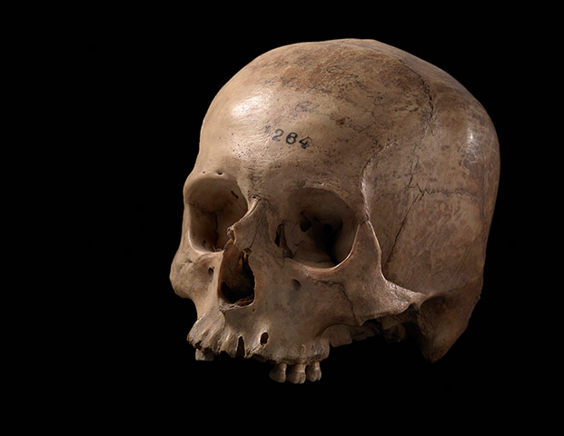 Death: Ancient Incan skull, 16th century