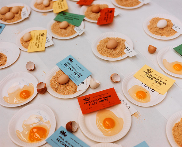 Art of Arrangement: Horticultural Show, Carn, Brea, 1992 by Jem Southam