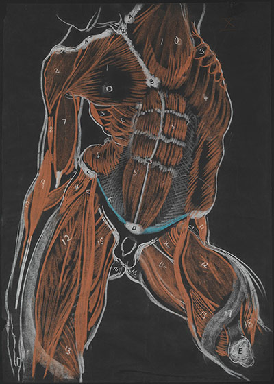 exhibitionist2411: Tracing The Century