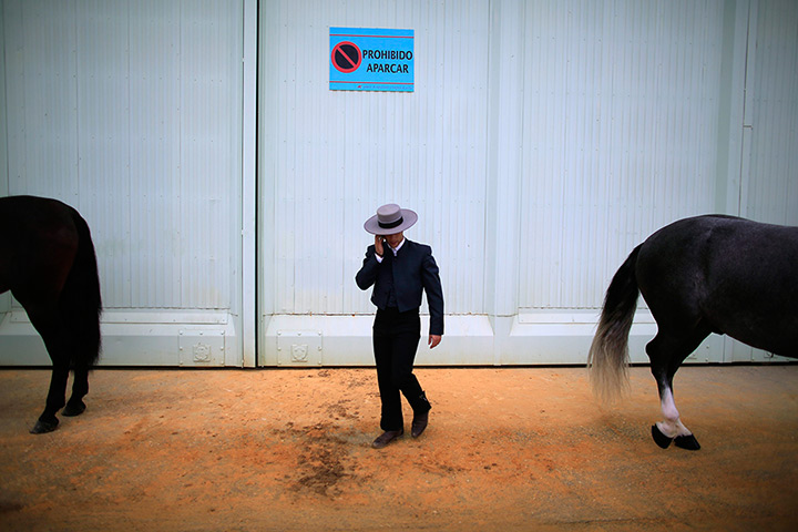 24 hours: Seville, Spain: An Andalusian horseman walks between horses