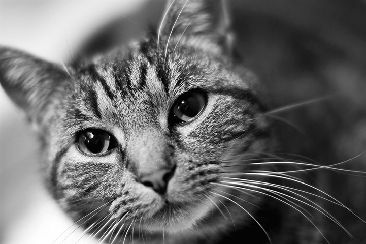 Camera Club: Depth of field Camera Club assignment