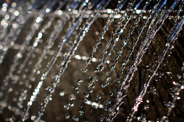 Camera Club: Depth of field Camera Club assignment