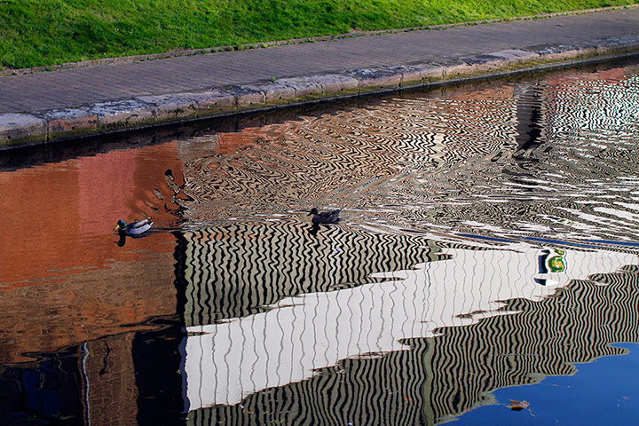 Camera Club: Depth of field Camera Club assignment