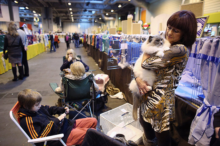 Birmingham cat show: A woman cuddles her cat prior to judging