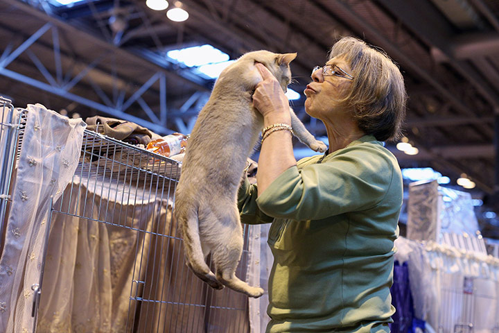 Birmingham cat show: A woman kisses her cat 