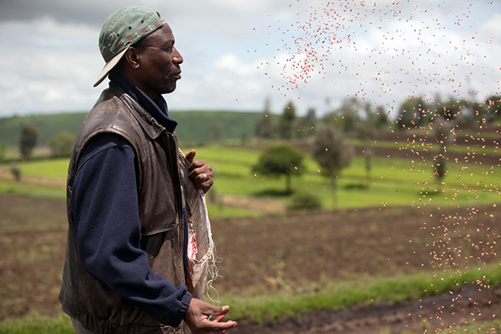 Global Development: Global development professionals